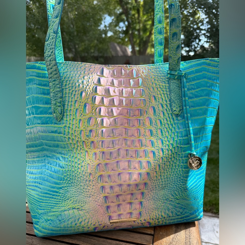Brahmin Cotton Candy Ombre Melbourne Brook Tote NWT - Picture 3 of 9